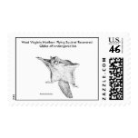 Stamp / West Virginia Northern Flying Squirrel