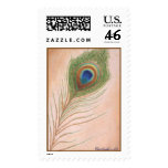 Stamp with a peacock feather