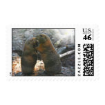 Stamp with cute marmot couple