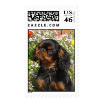 Stamps English toy spaniel / king charles by kcpetcollectables Stamps English toy spaniel / king charles