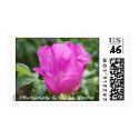 Stamps featuring Photography by Ashley Kerekes by ashleykerekes Stamps featuring Photography by Ashley Kerekes
