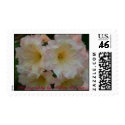 Stamps featuring Photography by Ashley Kerekes by ashleykerekes Stamps featuring Photography by Ashley Kerekes