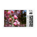 Stamps featuring Photography by Ashley Kerekes by ashleykerekes Stamps featuring Photography by Ashley Kerekes