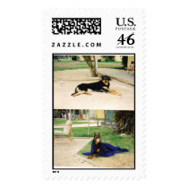 stamps