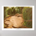 Stan Levine's "A Rainbow on Mount Diablo" posters