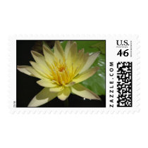 Stan Skinger postage