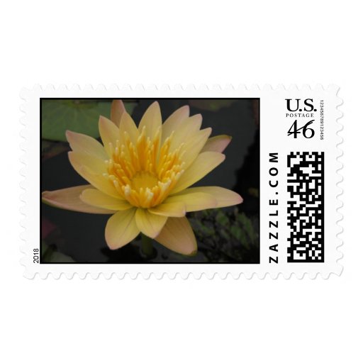 Stan Skinger Postage Stamp