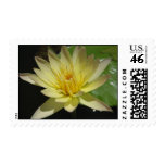 Stan Skinger Stamp