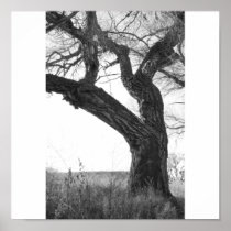 Stand Alone Posters
