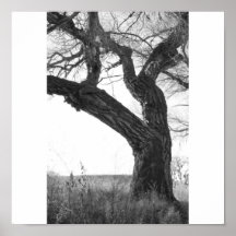 Stand Alone Posters