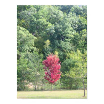 Stand Alone too posters