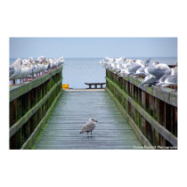 Stand Out in the Crowd posters