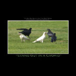 "STAND OUT" Photo Print or Poster