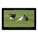 "STAND OUT" Photo Print or Poster by RavenSpiritPrints "STAND OUT" Photo Print or Poster