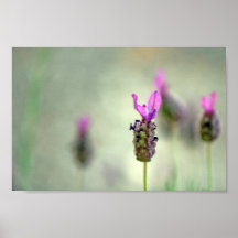 Stand Out Posters