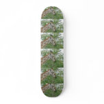 Stand Tall. Aim High Giraffe Skateboard Stand Tall. Aim High Giraffe Skateboard