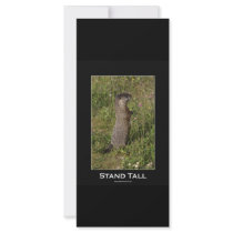 Stand Tall Marmot Card Rack Card Template