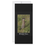 Stand Tall Marmot Card Rack Card Template