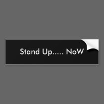 Stand Up..... NoW bumper stickers