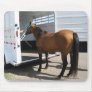 Stand Your Ground - Horse Owner Trailer Humor Mousepads