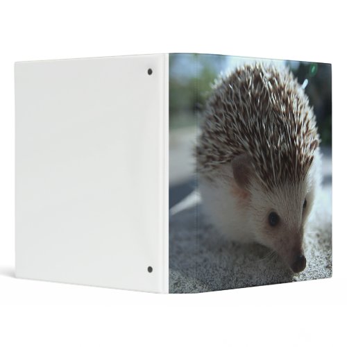 standard hedgehog binder binder
