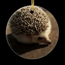 Standard hedgehog ornament ornaments