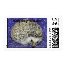 standard hedgehog stamp