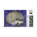 standard hedgehog stamp