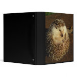 Standard hh binder