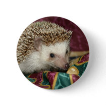 standard hh button by hedgehogworld standard hh button