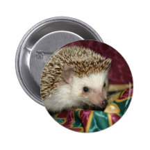 standard hh button