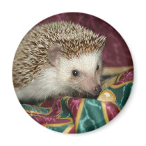 Standard hh magnet by hedgehogworld Standard hh magnet