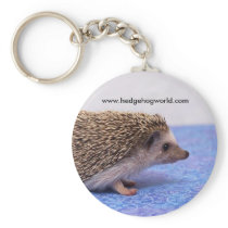 standard keychain