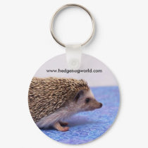 standard keychain