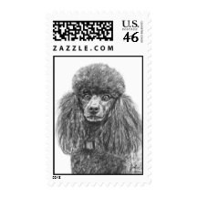Standard Poodle Charcoal Sketch Postage Stamps