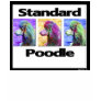 Standard Poodle Pop Art
