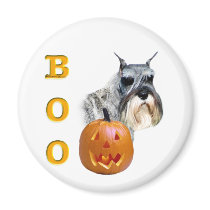 Standard Schnauzer Boo magnets by GreyWolfCreation Standard Schnauzer Boo magnets