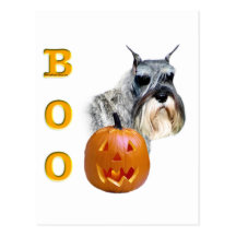 Standard Schnauzer Boo Post Cards
