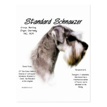 Standard Schnauzer History Design Post Cards