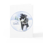 Standard Schnauzer Noel