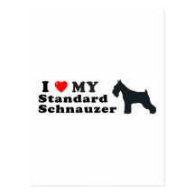 Standard Schnauzer Post Card