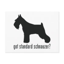 Standard Schnauzer Post Cards