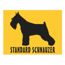Standard Schnauzer Postcard