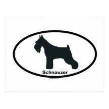 Standard Schnauzer Postcard