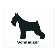 Standard Schnauzer Postcards