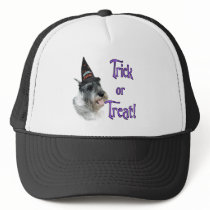 Standard Schnauzer Trick Trucker Hats