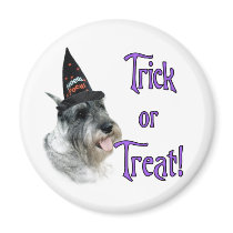 Standard Schnauzer Trick magnets
