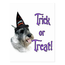 Standard Schnauzer Trick Post Card