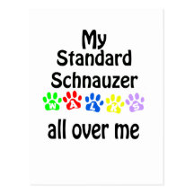 Standard Schnauzer Walks Design Postcards