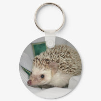 Standard Snow hh keychains